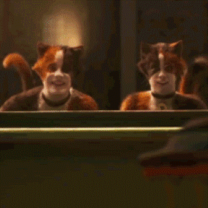 Mungojerrie and Rumpleteazer